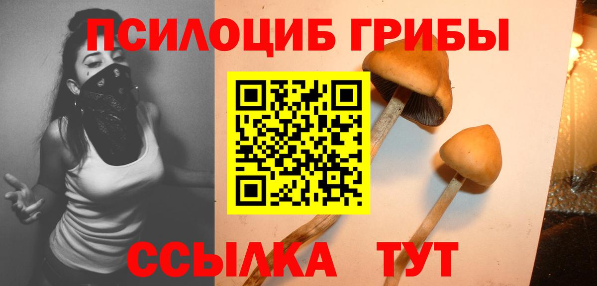 Псилоцибиновые грибы GOLDEN TEACHER  Вход с VPN  Псилоцибиновые грибы мицелий  Семилуки 